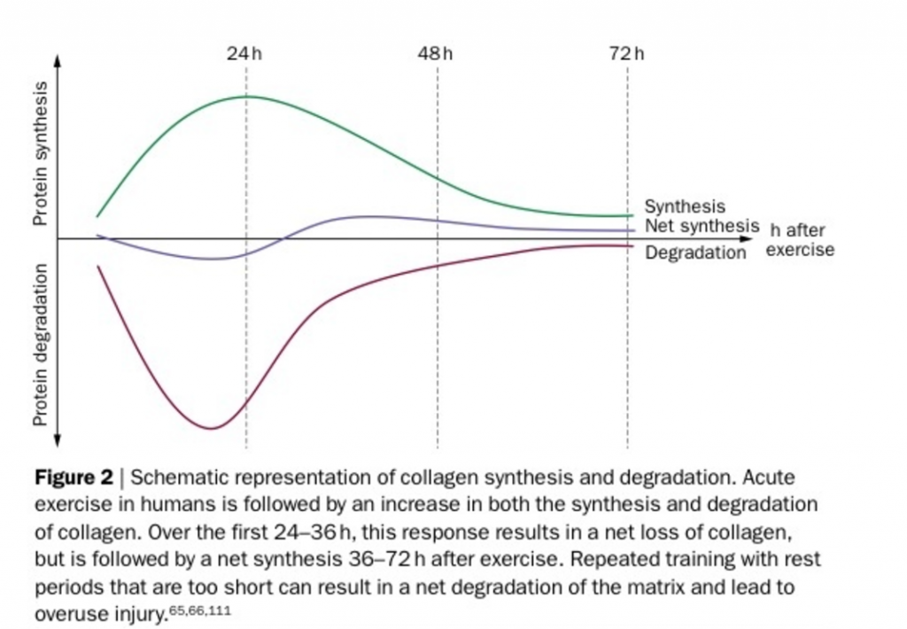 Anchilles Tendinopathy exercises