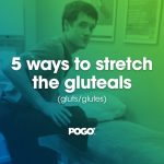 gluteals