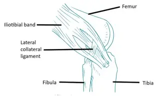 Lateral Extra-Articular Tenodesis
