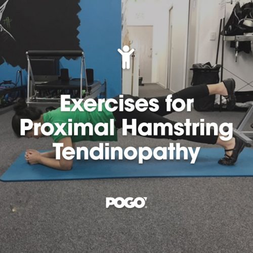 Exercises for Proximal Hamstring Tendinopathy POGO Physio Gold Coast