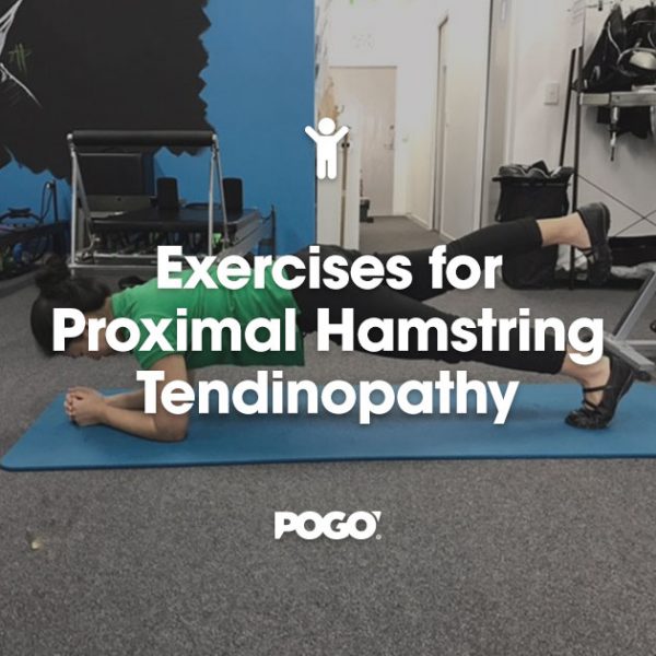Exercises for Proximal Hamstring Tendinopathy POGO Physio Gold Coast
