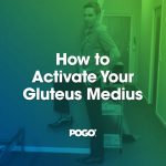 gluteus Medius