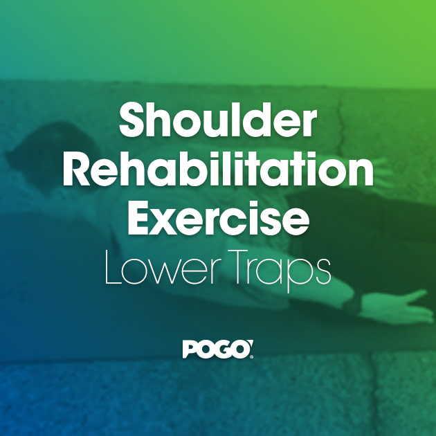 Shoulder rehabilitation exercise