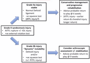 Ankle Syndesmosis Injuries