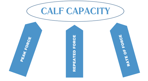 calf muscle strain injury