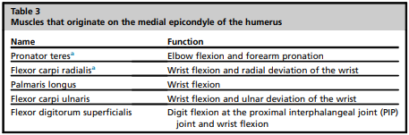 Elbow Pain