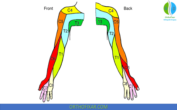Elbow Pain