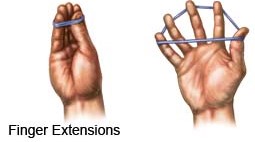 Finger Extensions
