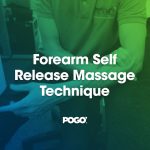 forearms