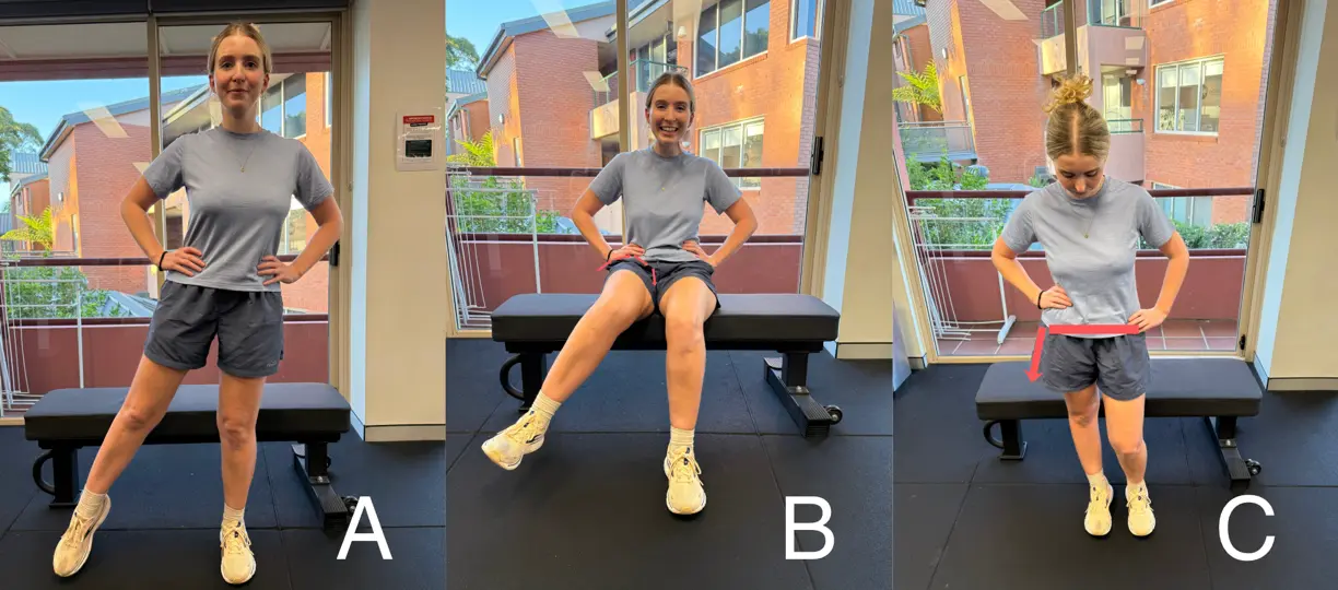 actions of the gluteus medius and minimus muscles