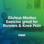 Gluteus Medius
