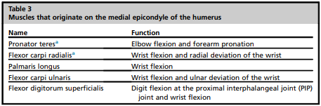 Golfers Elbow