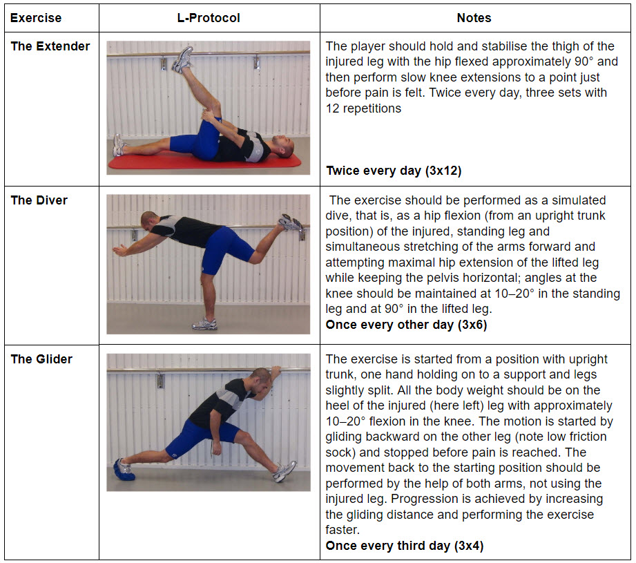 Hamstring