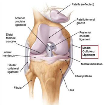 MCL Sprains