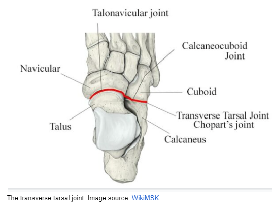 Navicular bone stress