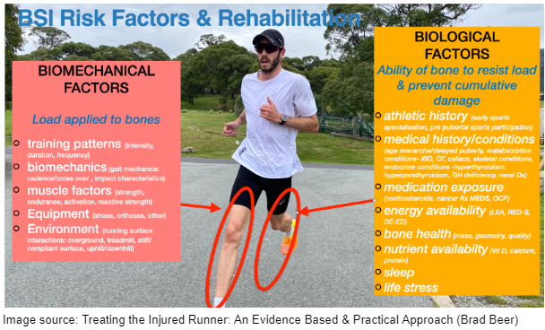 Navicular bone stress