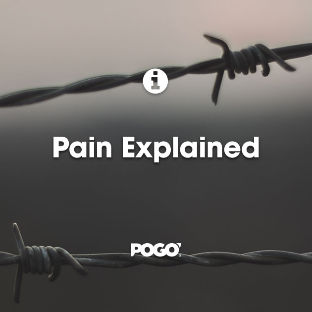 Pain Explained POGO Physio Gold Coast