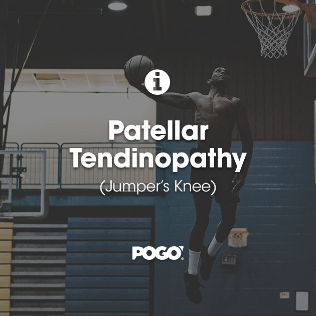 Patellar Tendinopathy (Jumper’s Knee) POGO Physio Gold Coast