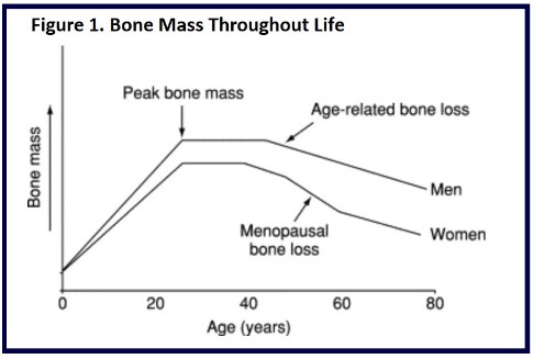 Osteoporosis