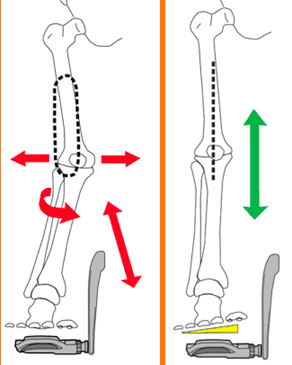 ITB Friction Syndrome…what is it?