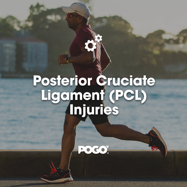 Posterior Cruciate Ligament