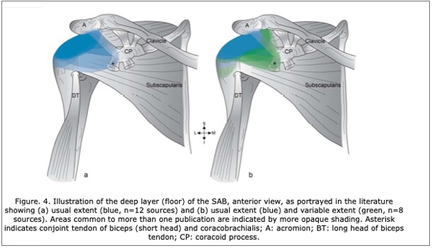 Rotator Cuff Injuries