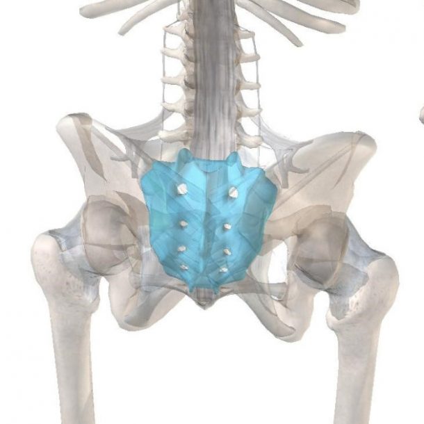 Sacral Stress Fractures POGO Physio Gold Coast