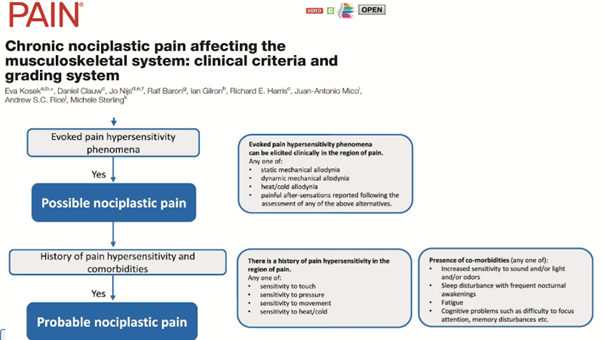 Understanding Pain