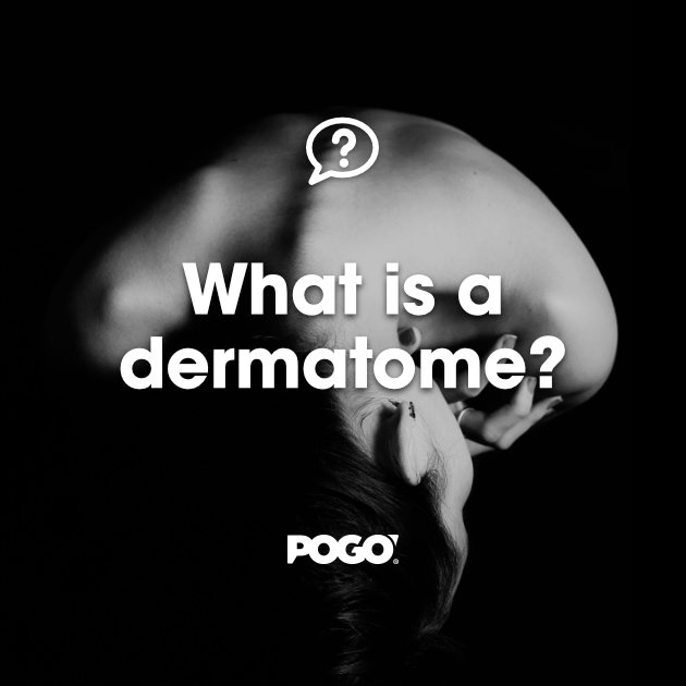 Dermatome