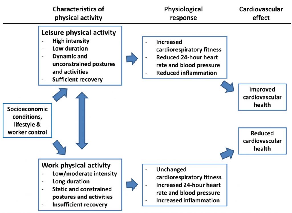 rehabilitation exercise