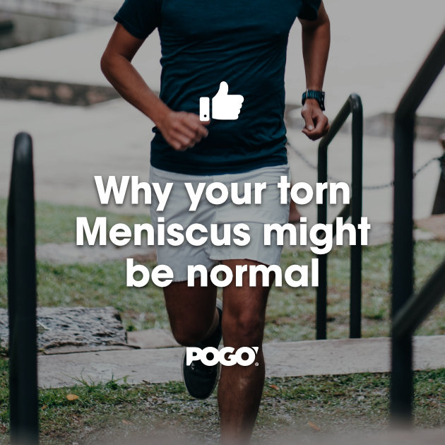 Meniscus